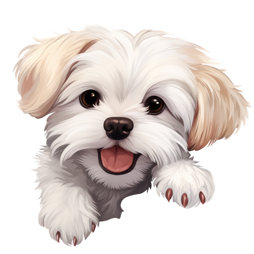 Maltese sticker motiv