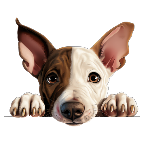 Miniature Bull Terrier sticker motiv