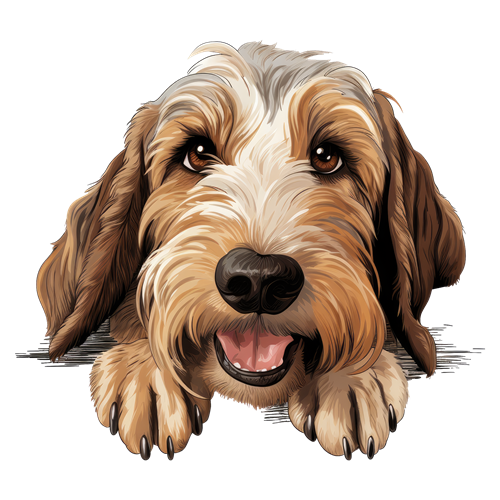 Petit Basset Griffon Vendeen sticker motiv