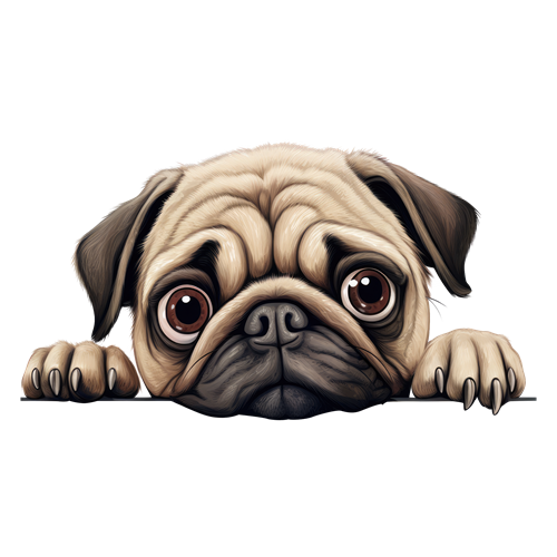 Pug sticker motiv