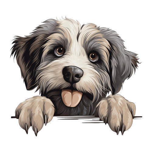 Pyrenean Shepherd sticker motiv
