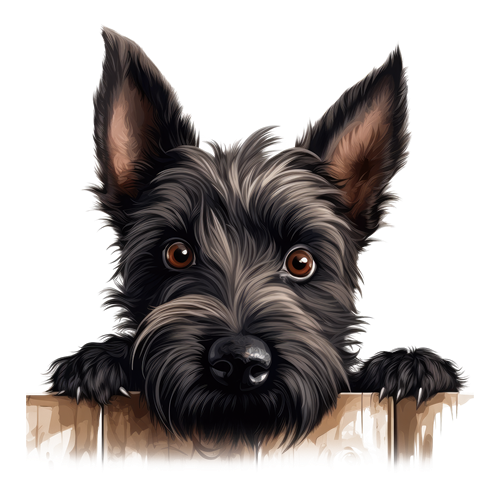 Scottish Terrier sticker motiv