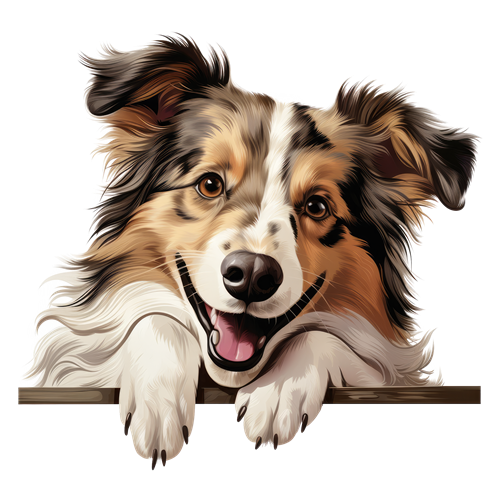 Shetland Sheepdog sticker motiv