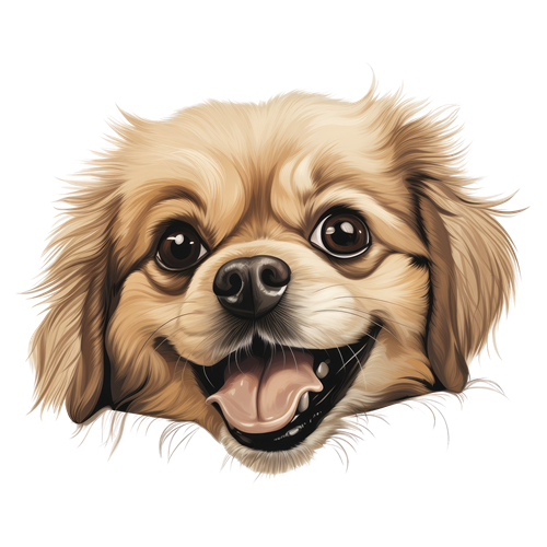 Tibetan Spaniel sticker motiv