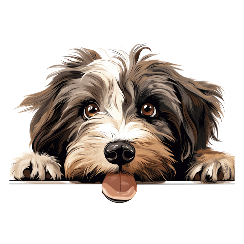Tibetan Terrier sticker motiv