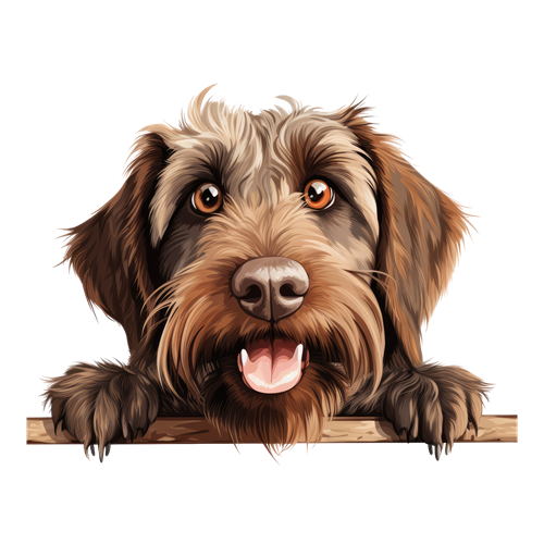 Wirehaired Pointing Griffon sticker motiv