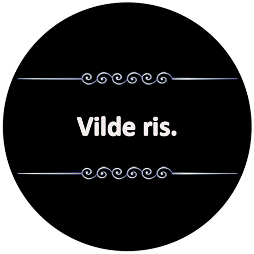 V0120 sticker motiv