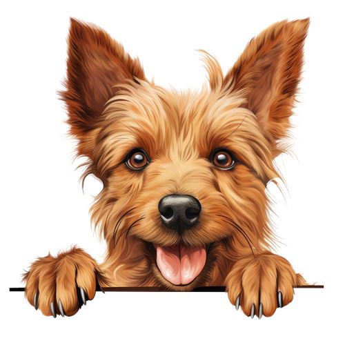 Sød brun terrier med poter på kanten