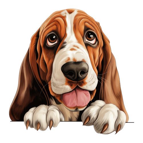 Sød basset hound med poter på kanten