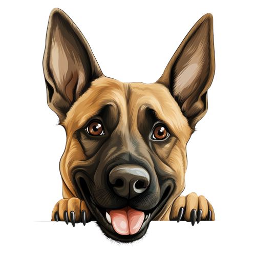 Sød schæferhund med store ører