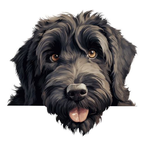 Sød sort og brun hund
