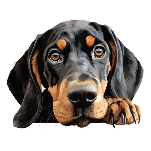 Sød sort og brun hund