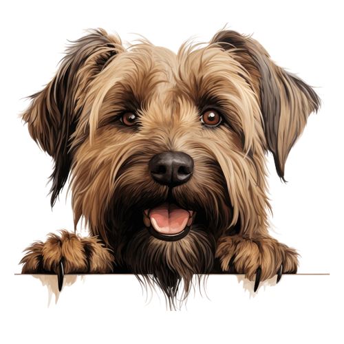 Sød langhåret terrierhund