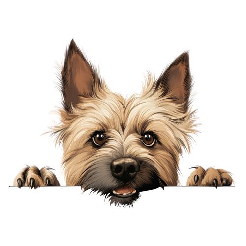 Sød terrier kigger over kanten