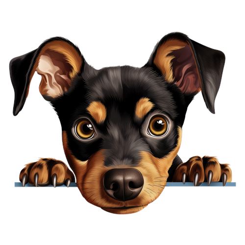 Sød sortbrun hund med poter på kanten