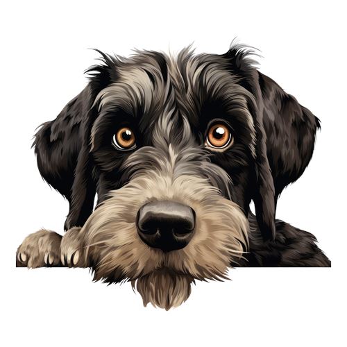 Sød sort og brun hund