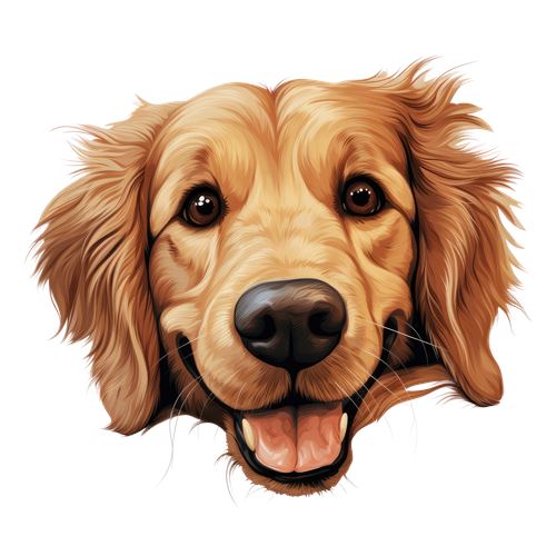 Glad golden retriever