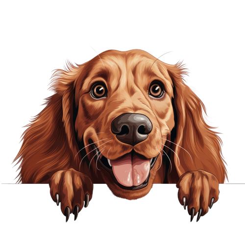 Sød golden retriever med tungen ude