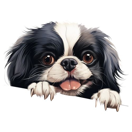 Sød sort og hvid hund med poter