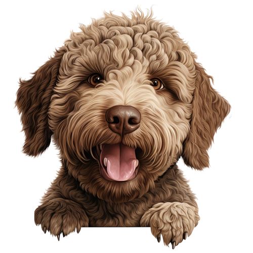 Sød krøllet hund