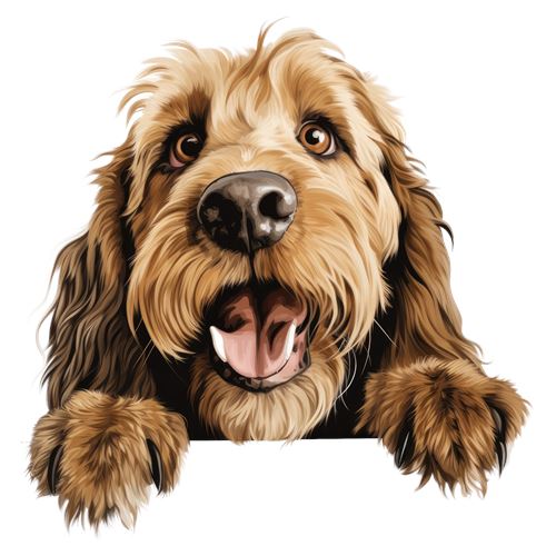 Sød brun doodle-hund med poter