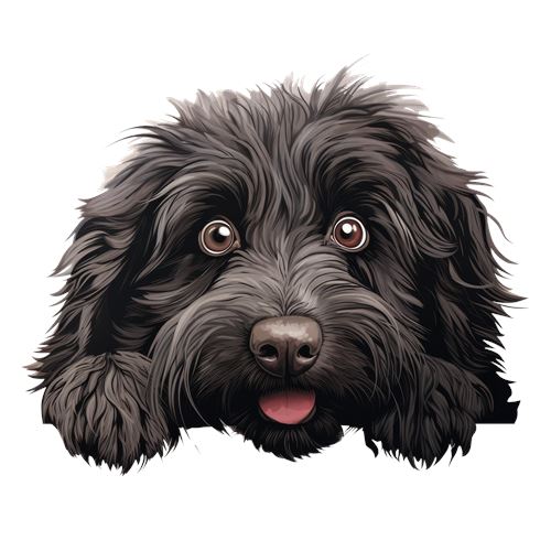 Sød sort og brun lodden hund