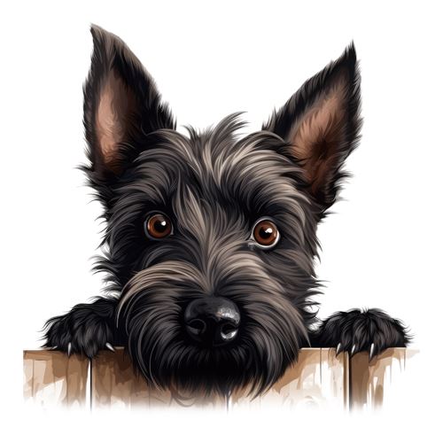 Sød skotsk terrier bag træhegn