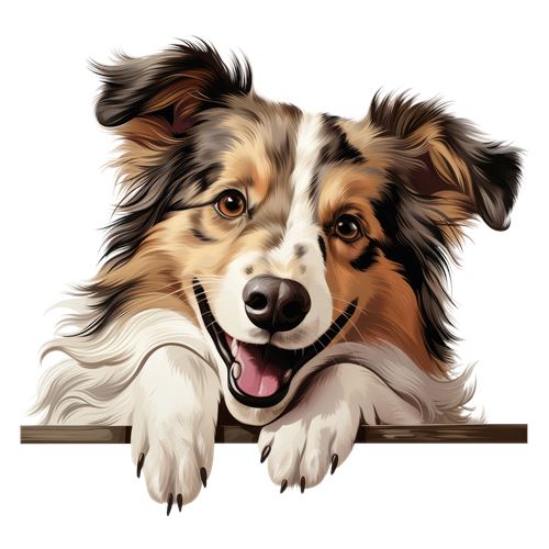 Sød border collie med poter på kanten