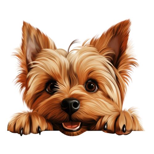 Sød Yorkshire terrier