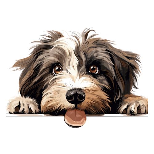 Sød langhåret hund med tungen ude