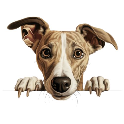 Sød hund med poter på kanten