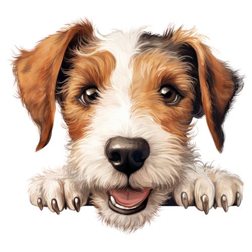Sød Jack Russell-hund