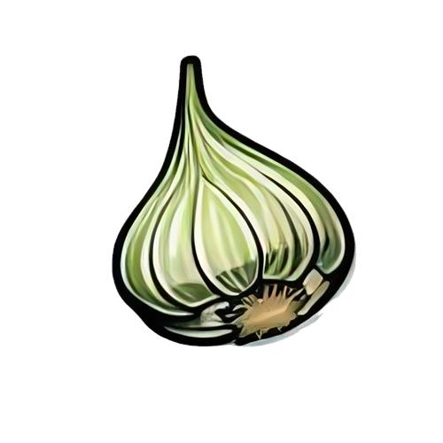 Illustration af Hvidløg