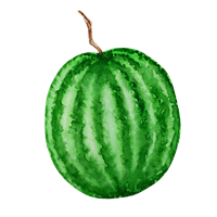 En illustreret vandmelon med grøn stribet skal og en lille stilk.