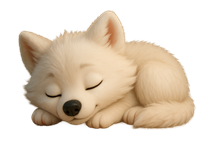 En sød, sovende hvid ulv med lukkede øjne og en blød pels.