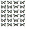Sommerfugle 12 - Image 2