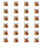 Insekter 4 - Image 2