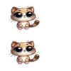 Kat 1 - Image 4