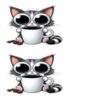 Kat 4 - Image 4